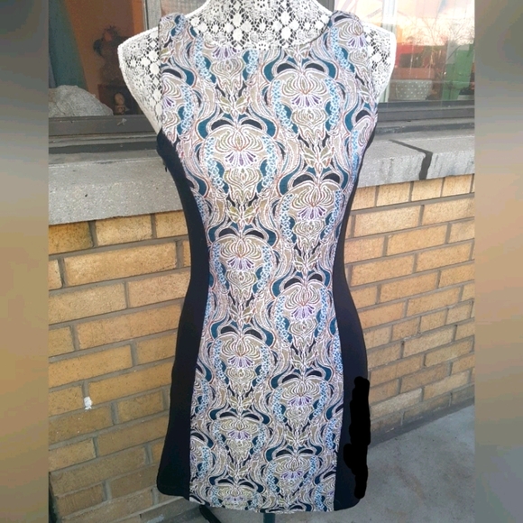 Jack Bodycon Pannel Dress - Picture 1 of 2